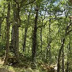 Ribera Del Corneja