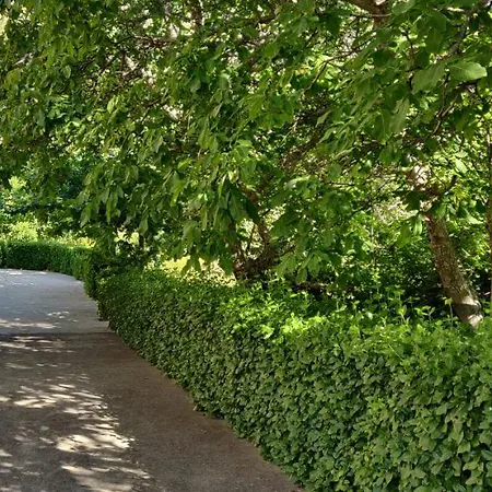 Ribera Del Corneja 4* Navacepedilla de Corneja