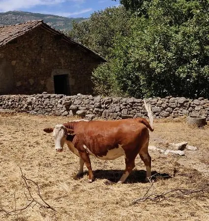 Hotell Ribera Del Corneja