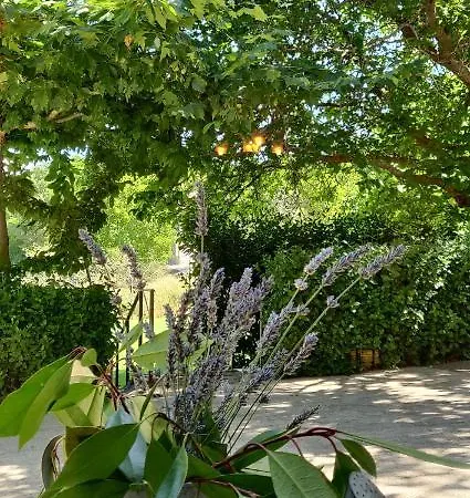 Hotell Ribera Del Corneja